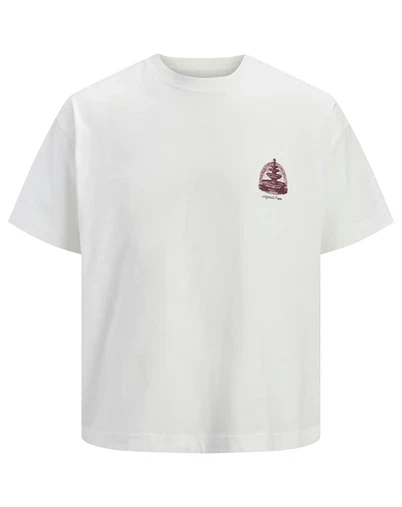 Jack & Jones - JORMaine Back Crew T-Shirt - Cloud Dancer 